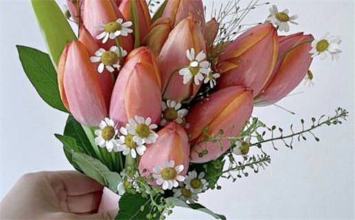 彭姓男孩名字_彭姓男孩名字高端大气