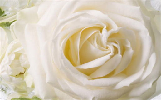 五行缺土取名_五行缺土取名字大全男孩