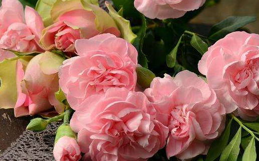 属龙的人流年运程(属龙的人流年运程如何)