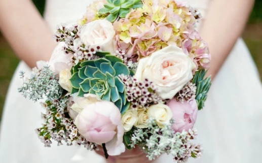 属狗的今年多大_属狗的今年多大年龄