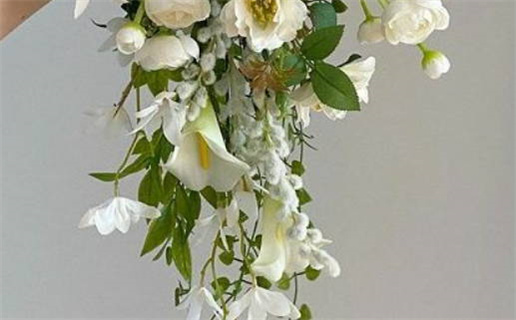 葛姓女孩名字_葛姓女孩名字大全