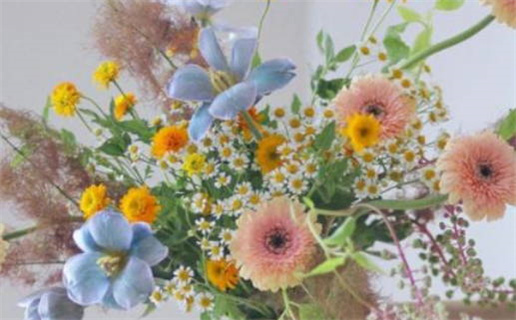 1979已未年出生人的命运解析