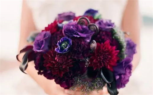 属兔人今日运势(属兔人今日运势查询)