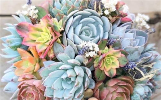 梁姓男孩名字(梁姓男孩名字大全)