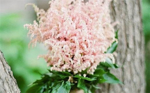 1971辛亥年出生者命运揭秘