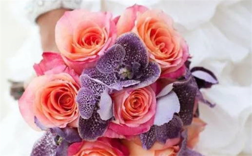 秀气女孩名字精选大全