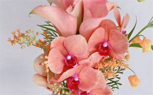 农历八月初七(农历八月初七是什么星座)