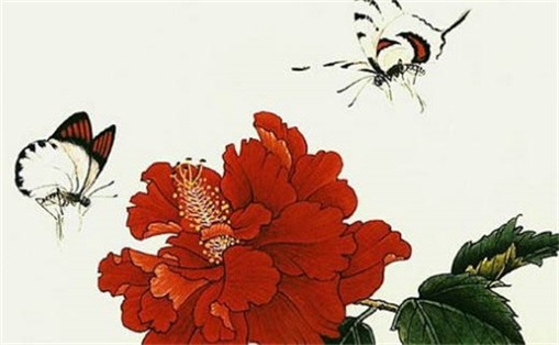 张姓宝宝起名(张姓宝宝起名字大全)