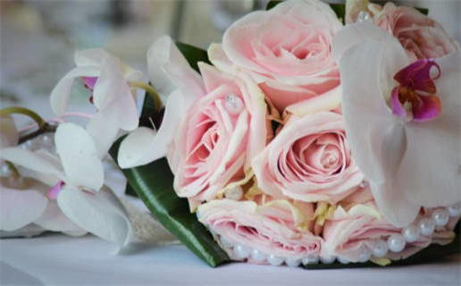 薛姓女孩名字(薛姓女孩名字大全)