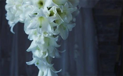 雷姓男孩名字_雷姓男孩名字简单好听