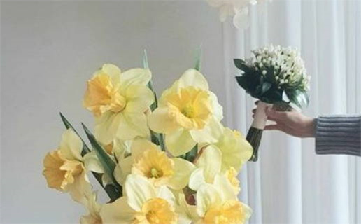 农历二月十九(农历二月十九是哪位菩萨的生日)