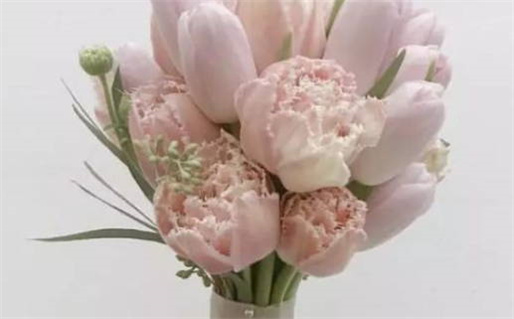 邹姓女孩名字(邹姓女孩名字简单大气)