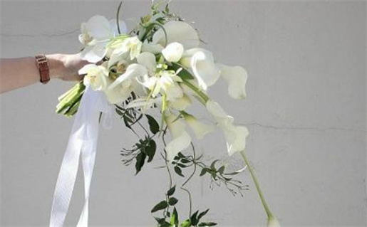 农历10月的节气与习俗探秘