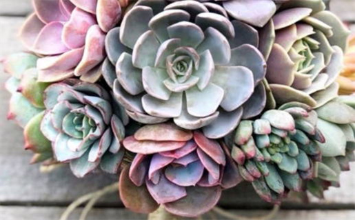 1991辛末年出生的命运_1991辛末年出生的命运如何